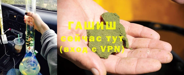 индика Бородино