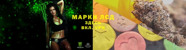 spice Волосово
