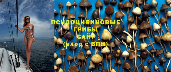 твердый Гусиноозёрск