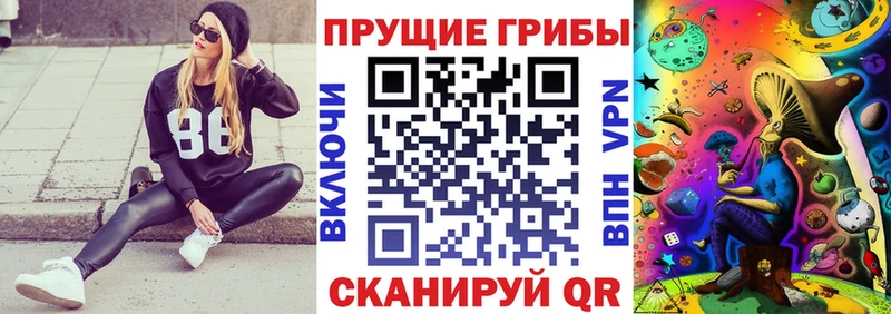 Галлюциногенные грибы Psilocybe  Дубовка 
